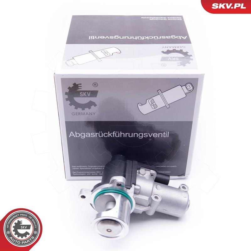 EGR-klapp, ESEN SKV 14SKV164