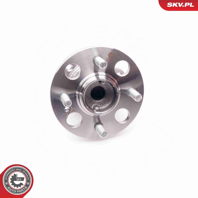 ESEN SKV 29SKV120 Wheel Bearing Kit