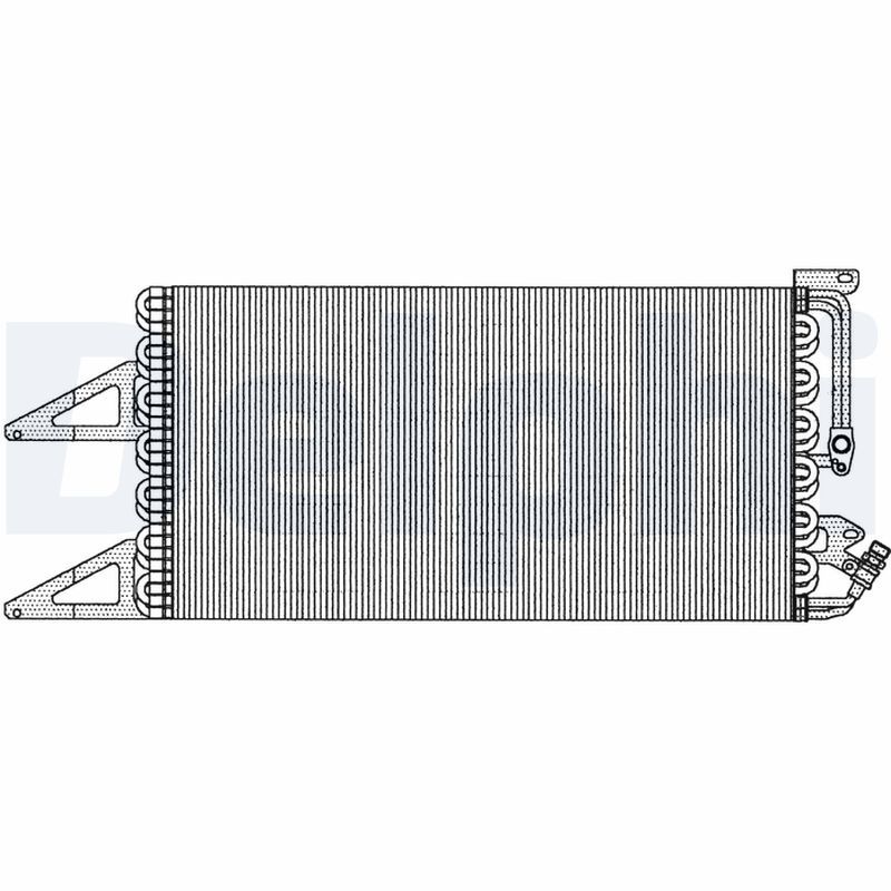 TSP0225103.JPG