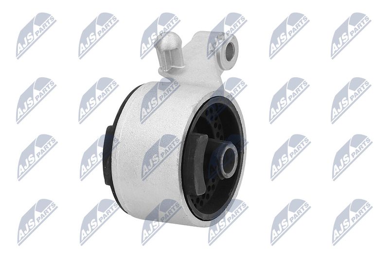 Paigutus, Mootor, NTY ZPS-PL-036