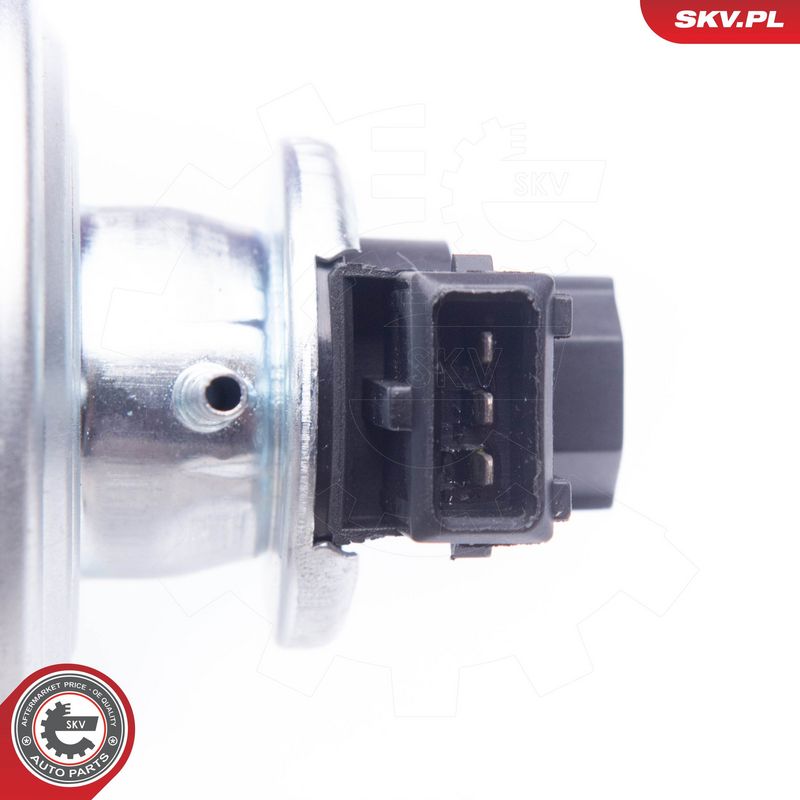 EGR-klapp, ESEN SKV 14SKV136