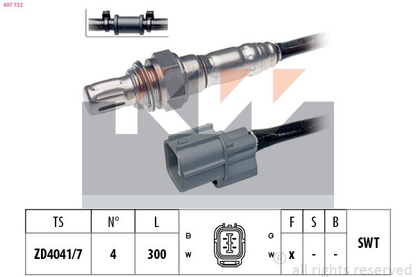 497 732-KW.JPG