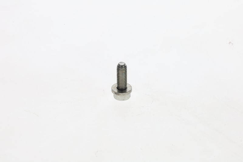 BOSCH F 002 D13 588 Screw