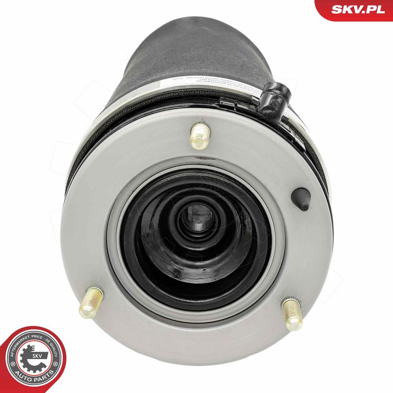 Õhkvedru, vedrustus, ESEN SKV 58SKV087