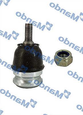 5453002000DSA020131.JPG