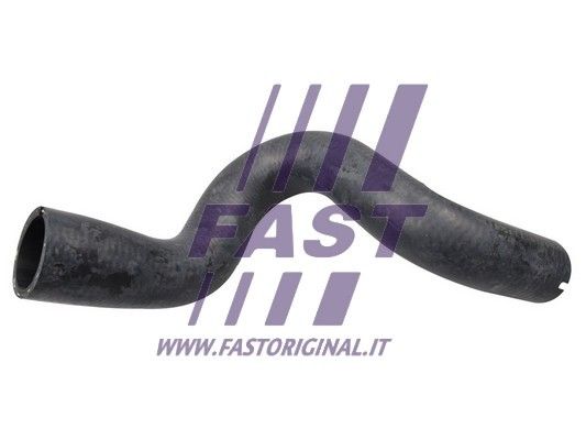 FT61384_1_1.JPG