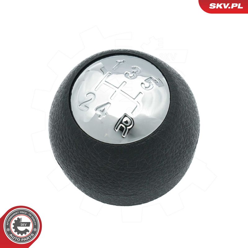 Käigukanginupp, ESEN SKV...