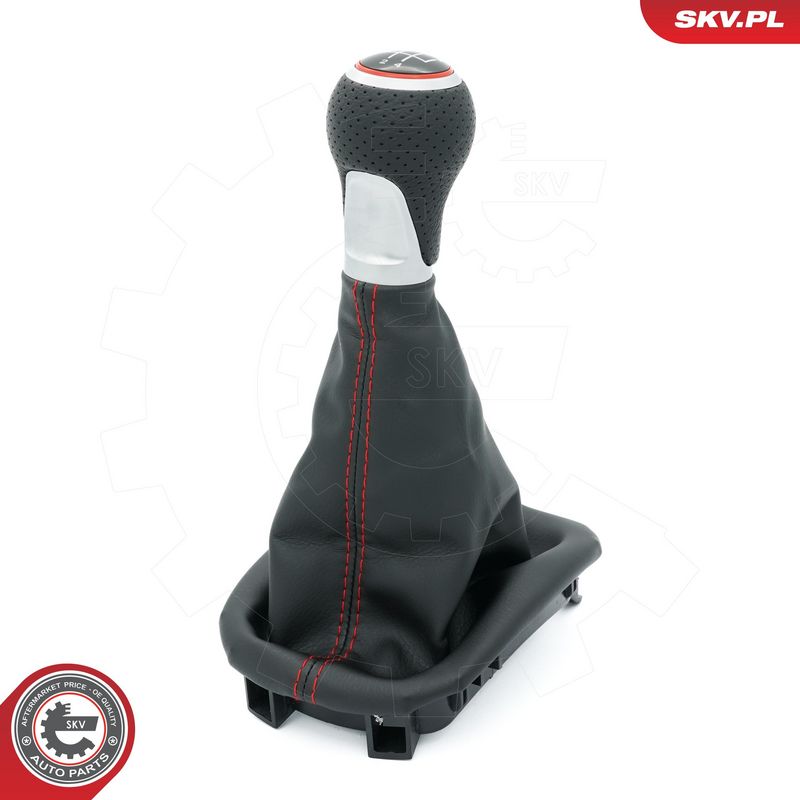 Käigukanginupp, ESEN SKV...