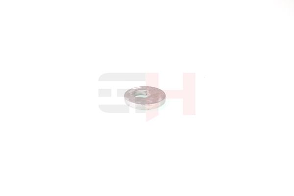 caster shim, sillatala, GH GH-391583