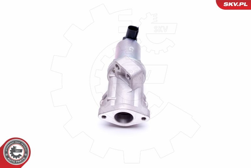 ESEN SKV 14SKV212 EGR Valve