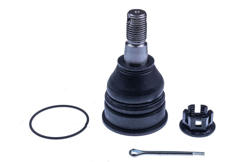 Kande-, juhtliigend,...