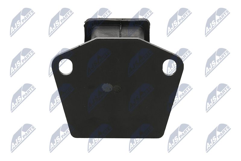 Paigutus, Mootor, NTY ZPS-MS-080