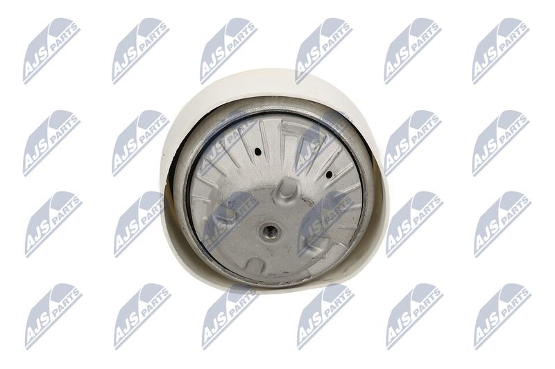 Paigutus, Mootor, NTY ZPS-ME-103