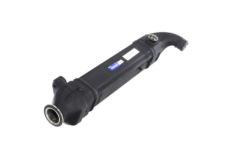 REMANTE 010-001-000025R EGR Module
