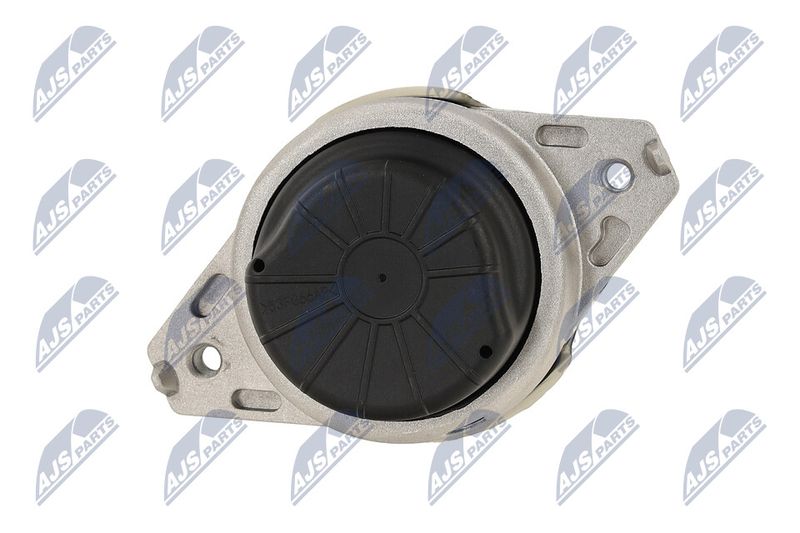 Paigutus, Mootor, NTY ZPS-ME-077