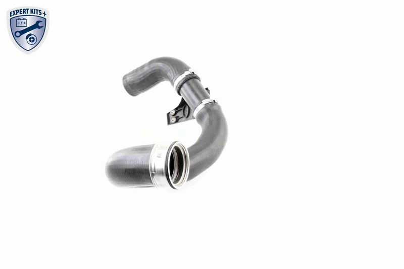 VAICO V30-2420 Charge Air Hose