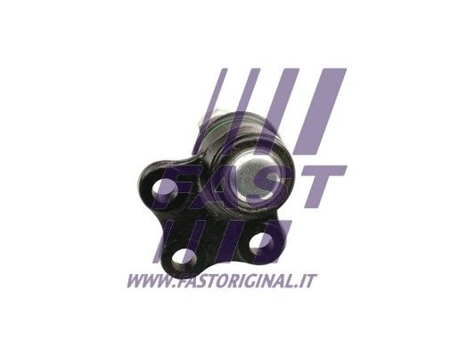 FT17123_2_1.JPG