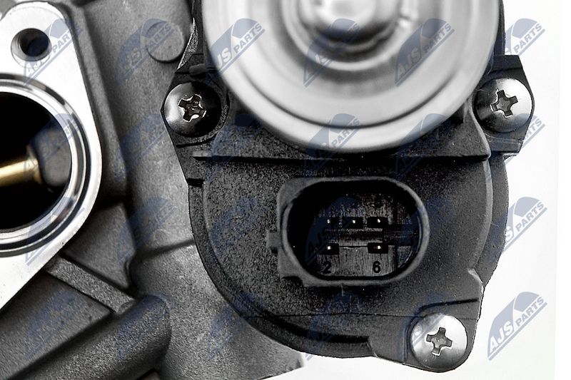 egr-vw-009_5-wm.JPG