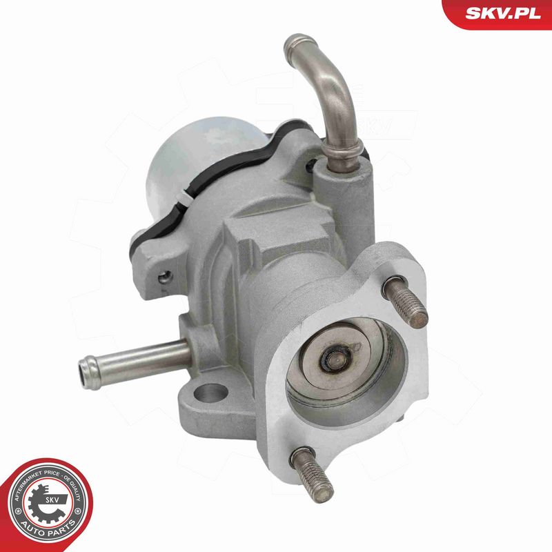 ESEN SKV 14SKV319 EGR Valve