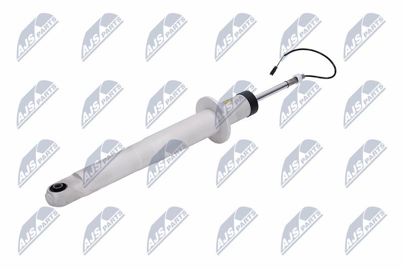 Amort, NTY A-MA-003