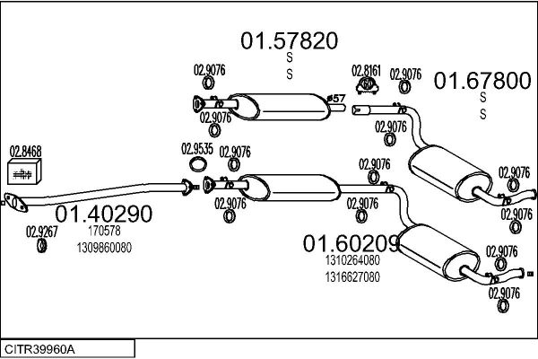 CITR39960A.JPG