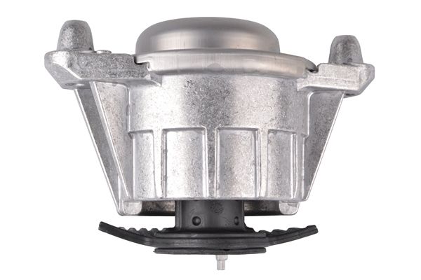 TEDGUM TED25756 Mounting, engine