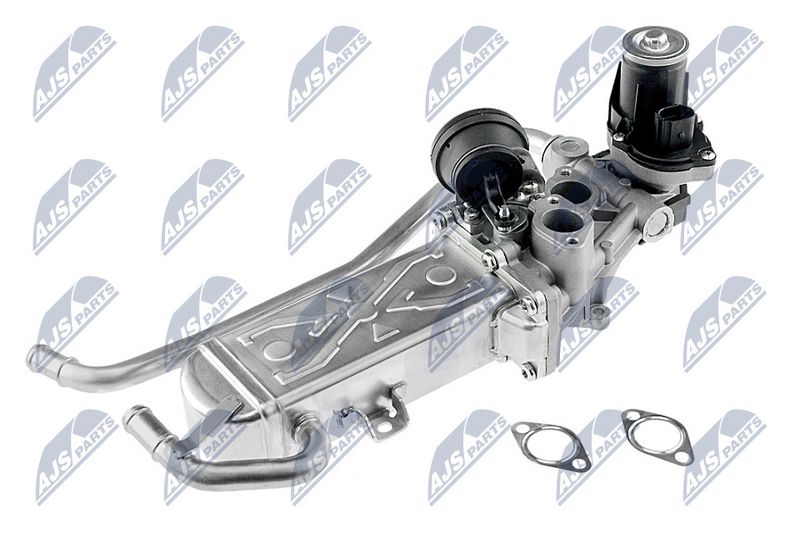 egr-vw-009_3-wm.JPG