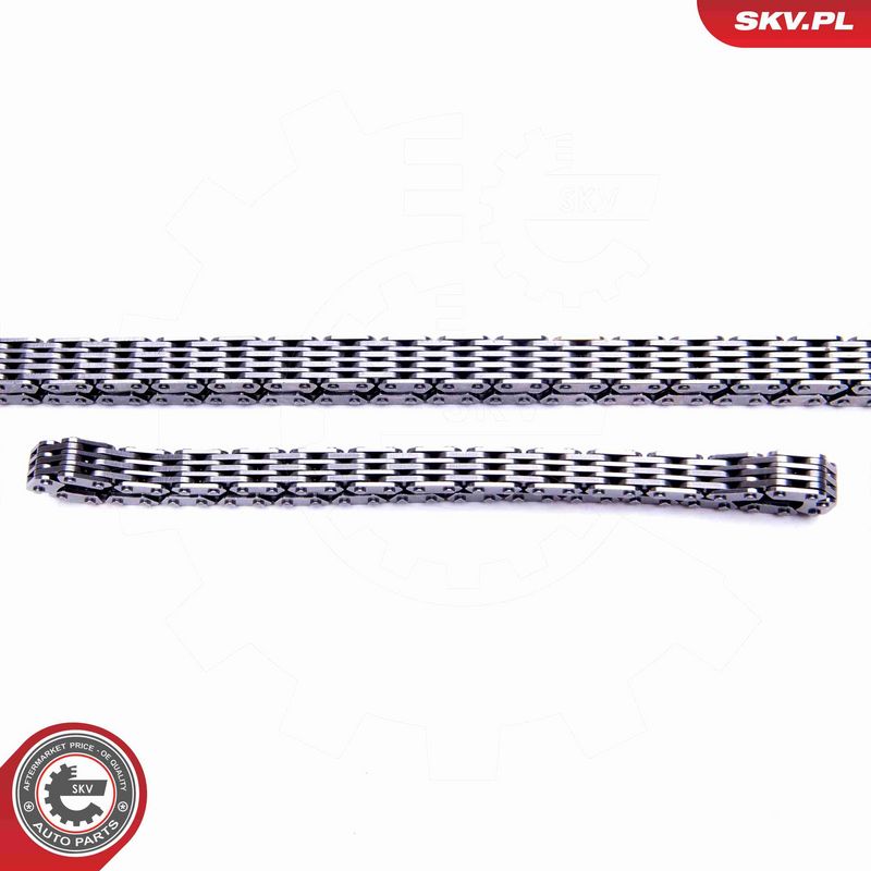 ESEN SKV 21SKV187 Timing Chain Kit