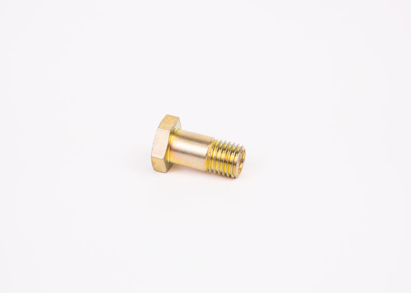 Surub F 002 D13 579 BOSCH