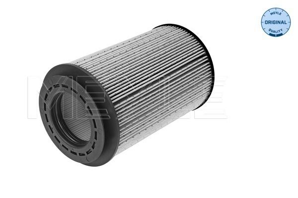 FS_5343230001_3.JPG