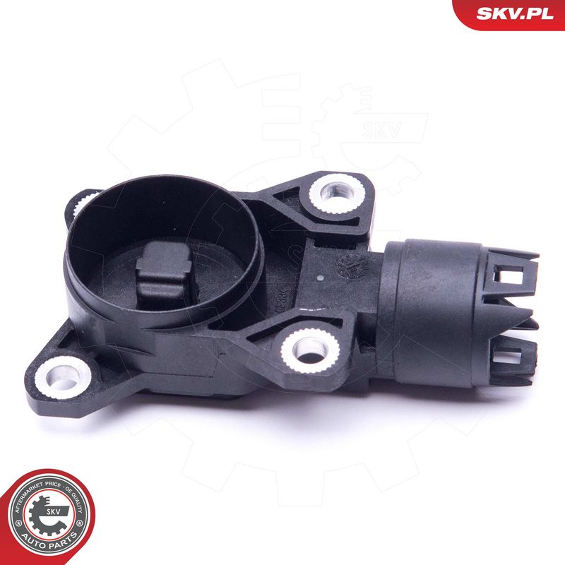 Andur, ekstsentrikvõll (varieeruv klapisurve), ESEN SKV 17SKV469