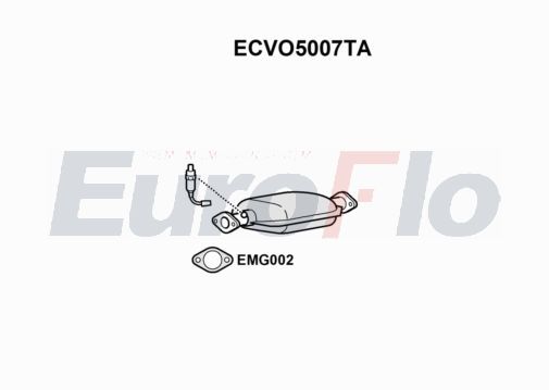 ecvo5007ta.JPG