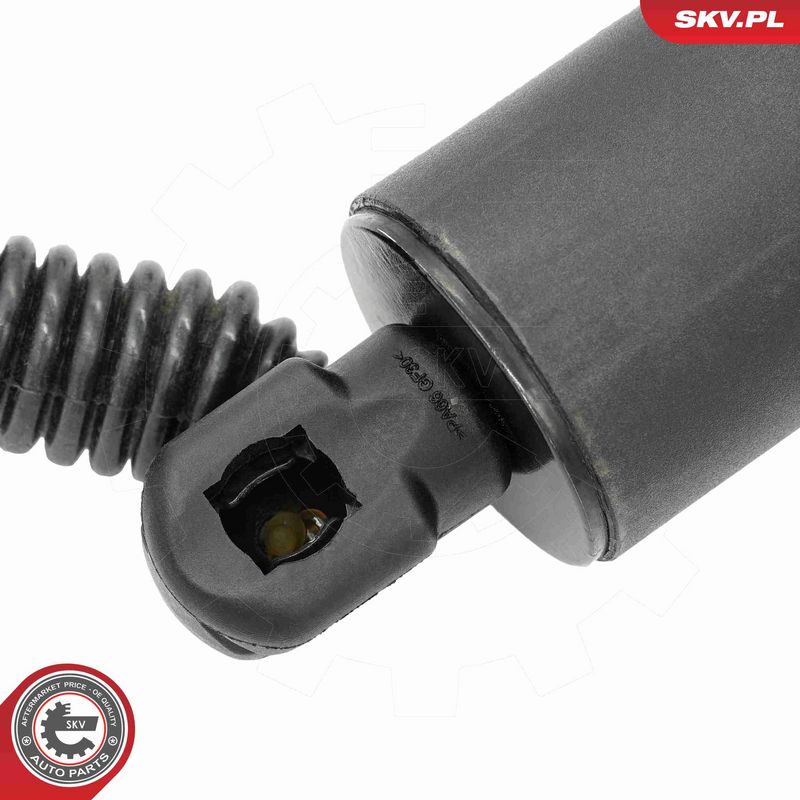 ESEN SKV 52SKV205 Electric Motor, tailgate