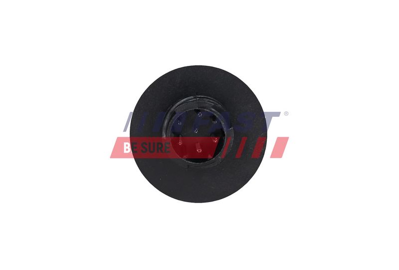 Tagatuli, FAST FT13447