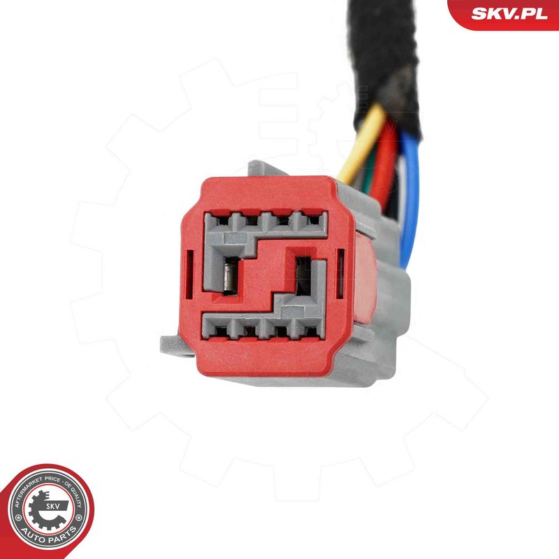 ESEN SKV 52SKV289 Electric Motor, tailgate