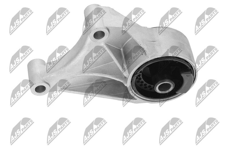 Paigutus, Mootor, NTY ZPS-PL-069