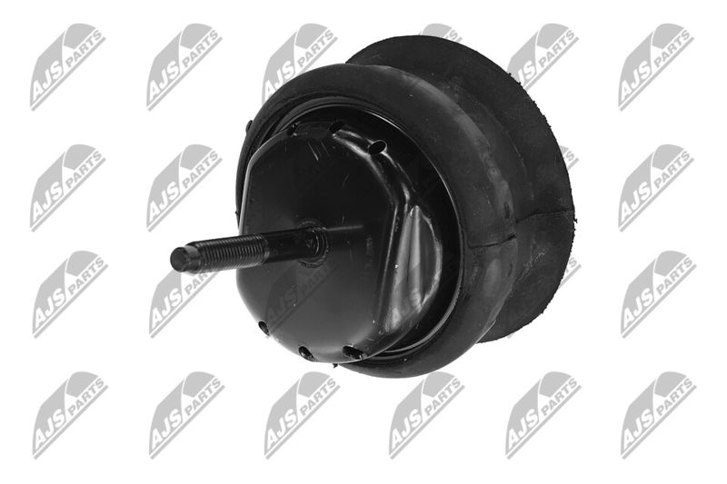 Paigutus, Mootor, NTY ZPS-CH-070