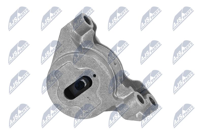 Paigutus, Mootor, NTY ZPS-PE-031