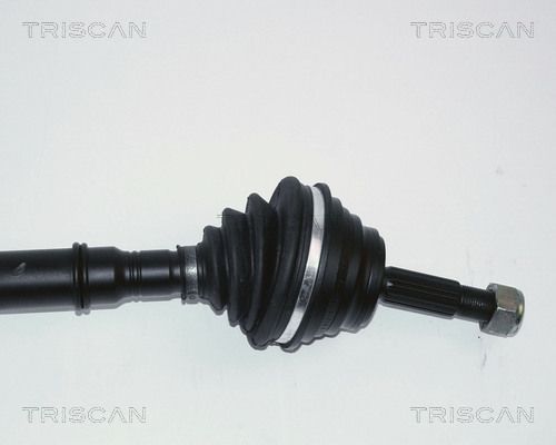 854025545_3.JPG