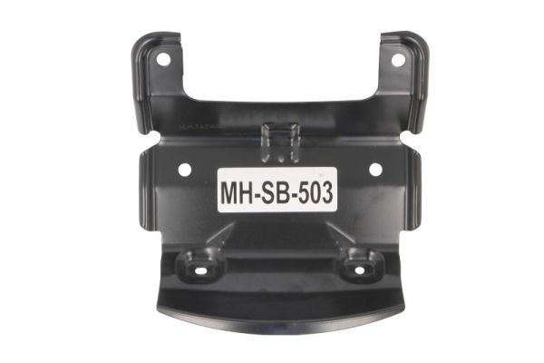 BLIC 6502-07-6741910P Radiator Grille