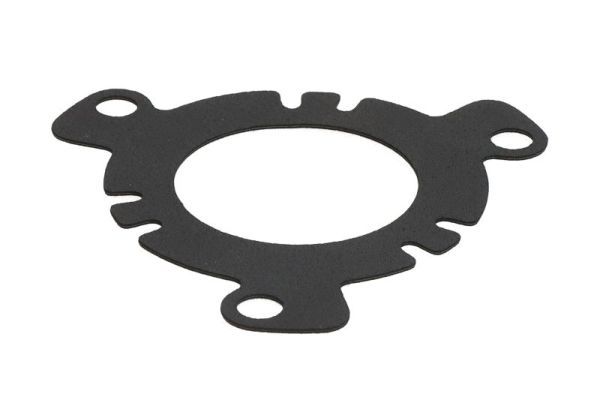 Dichtung, Einspritzpumpe