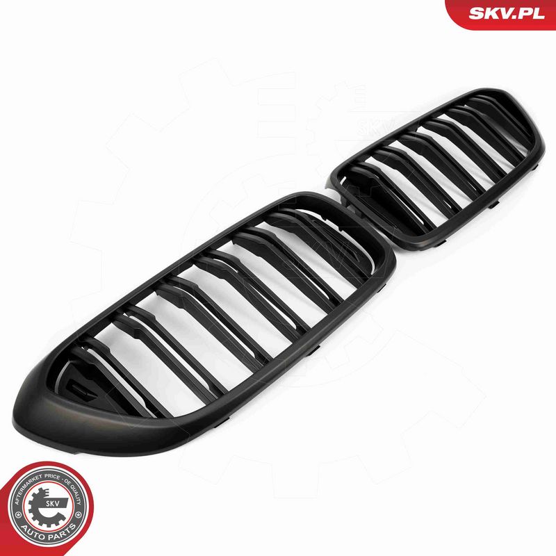 ESEN SKV 66SKV211 Radiator Grille