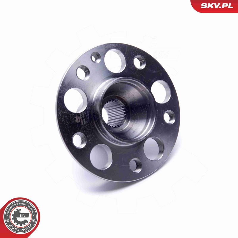 ESEN SKV 29SKV504 Wheel Bearing Kit