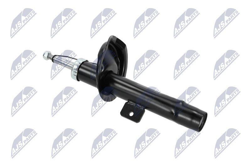 Amort, NTY A-CT-020