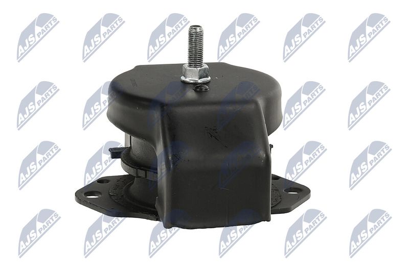 Paigutus, Mootor, NTY ZPS-MS-011