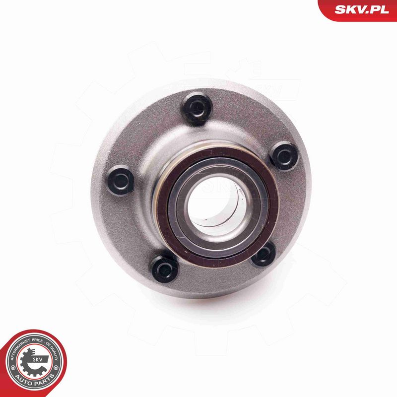 ESEN SKV 29SKV152 Wheel Bearing Kit