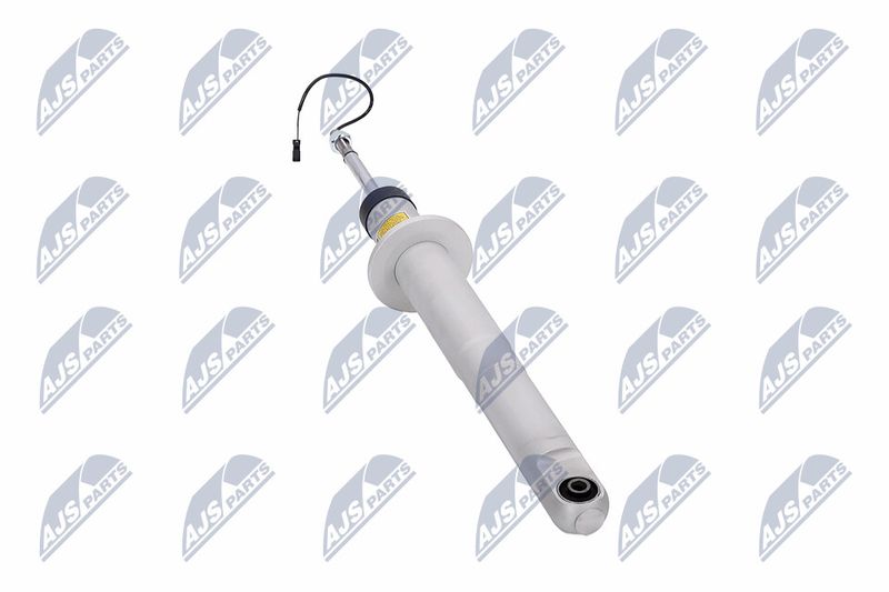 Amort, NTY A-MA-003