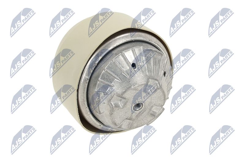 Paigutus, Mootor, NTY ZPS-ME-100