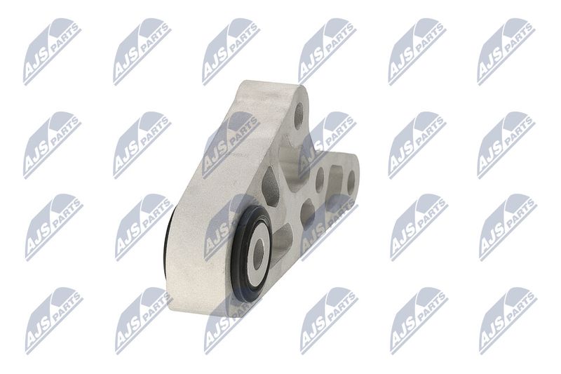 Paigutus, Mootor, NTY ZPS-CH-119