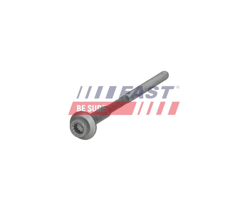 FAST FT05139 Screw, injection nozzle holder